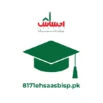 BISP-Scholarships-for-Undergraduates