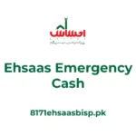Ehsaas-Emergency-Cash